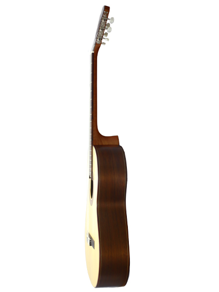 HG C100 2